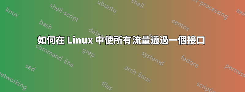 如何在 Linux 中使所有流量通過一個接口