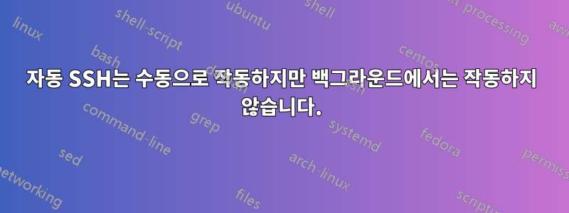 자동 SSH는 수동으로 작동하지만 백그라운드에서는 작동하지 않습니다.