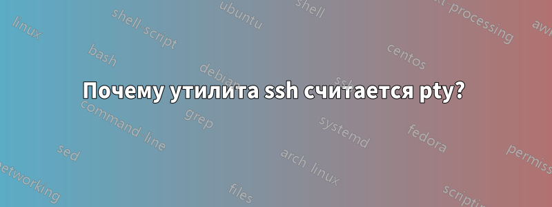 Почему утилита ssh считается pty?