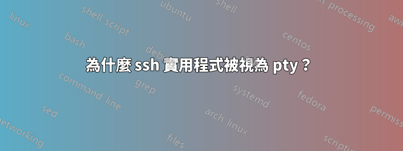 為什麼 ssh 實用程式被視為 pty？