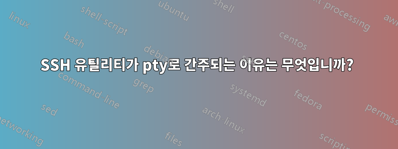 SSH 유틸리티가 pty로 간주되는 이유는 무엇입니까?