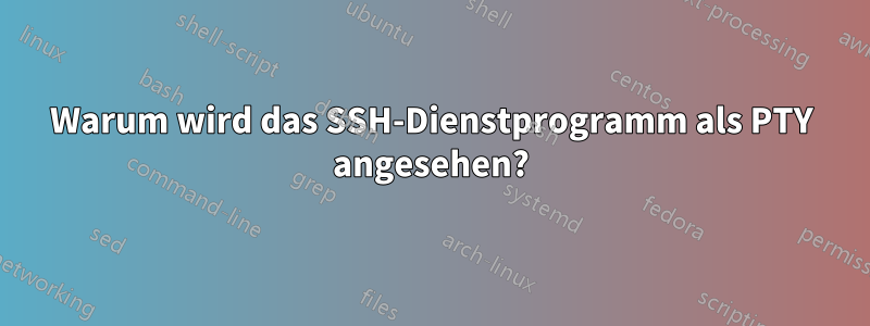 Warum wird das SSH-Dienstprogramm als PTY angesehen?