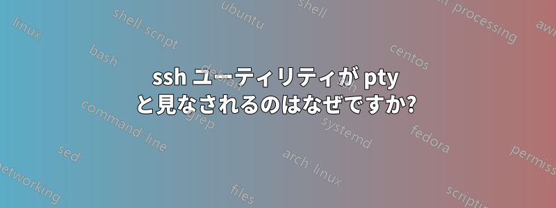 ssh ユーティリティが pty と見なされるのはなぜですか?