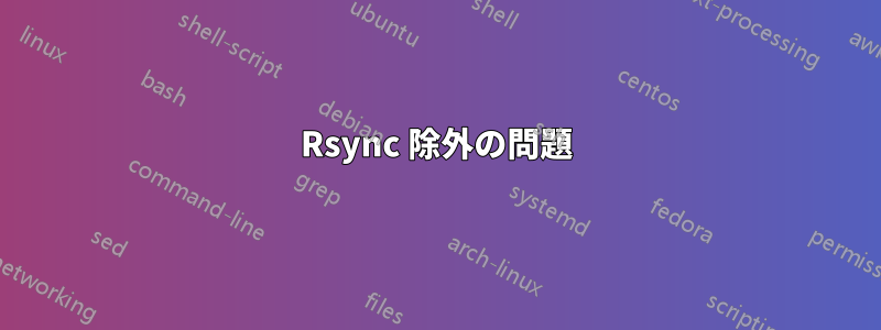 Rsync 除外の問題