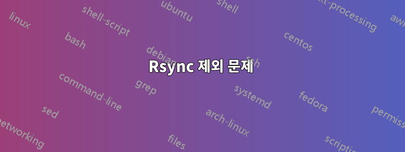 Rsync 제외 문제