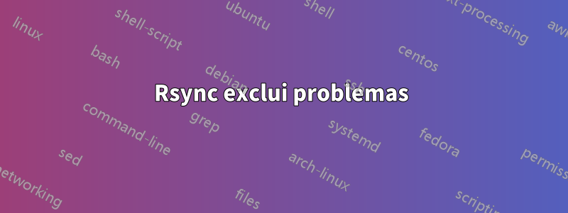 Rsync exclui problemas