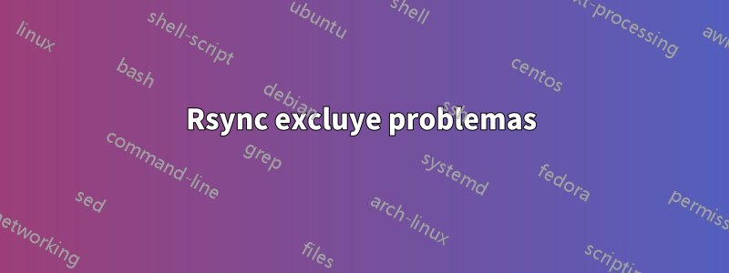 Rsync excluye problemas