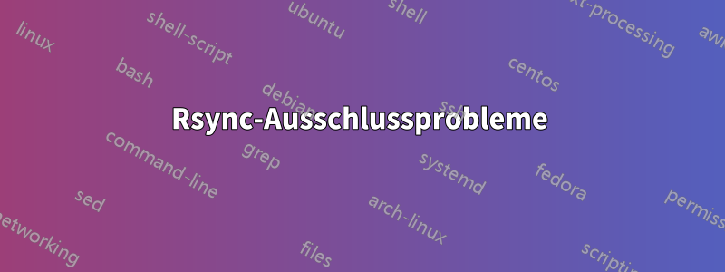 Rsync-Ausschlussprobleme