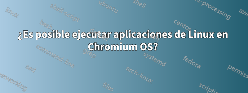 ¿Es posible ejecutar aplicaciones de Linux en Chromium OS?