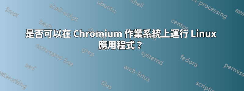 是否可以在 Chromium 作業系統上運行 Linux 應用程式？