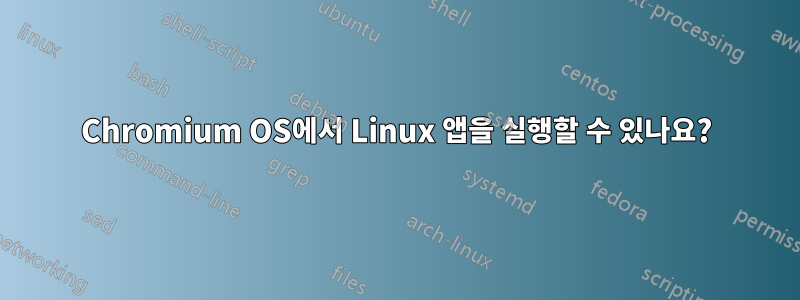 Chromium OS에서 Linux 앱을 실행할 수 있나요?