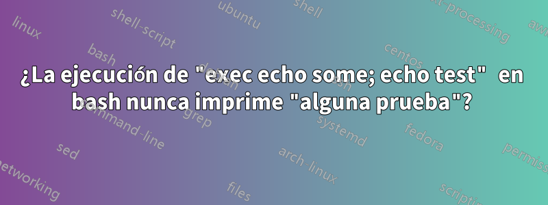 ¿La ejecución de "exec echo some; echo test" en bash nunca imprime "alguna prueba"?