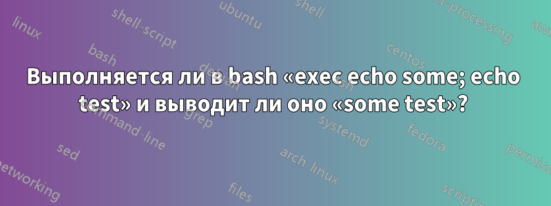 Выполняется ли в bash «exec echo some; echo test» и выводит ли оно «some test»?