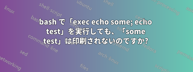 bash で「exec echo some; echo test」を実行しても、「some test」は印刷されないのですか?