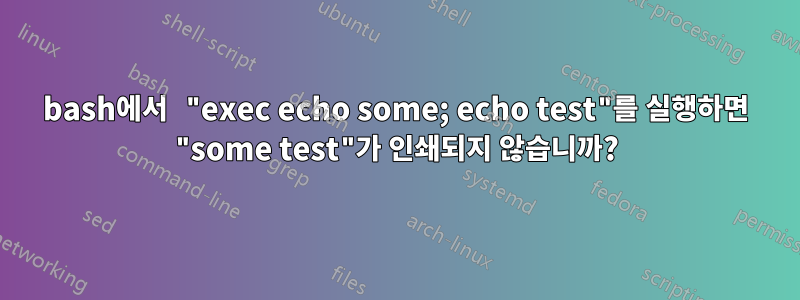 bash에서 "exec echo some; echo test"를 실행하면 "some test"가 인쇄되지 않습니까?