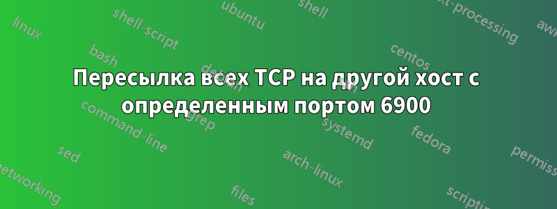 Пересылка всех TCP на другой хост с определенным портом 6900