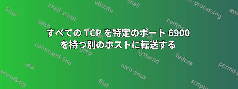 すべての TCP を特定のポート 6900 を持つ別のホストに転送する