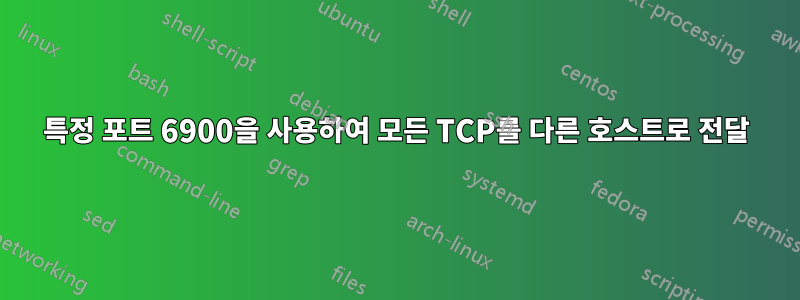 특정 포트 6900을 사용하여 모든 TCP를 다른 호스트로 전달