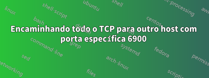 Encaminhando todo o TCP para outro host com porta específica 6900