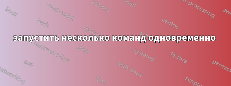 запустить несколько команд одновременно