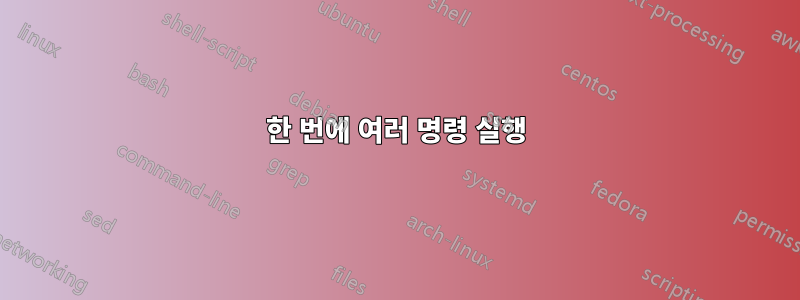 한 번에 여러 명령 실행