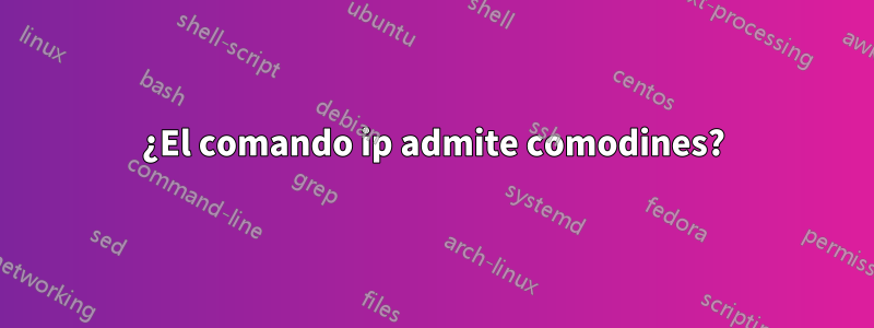 ¿El comando ip admite comodines?