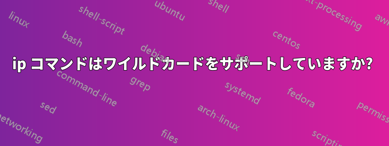 ip コマンドはワイルドカードをサポートしていますか?