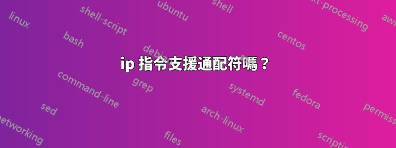 ip 指令支援通配符嗎？