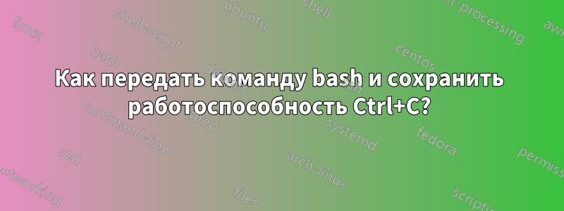 Как передать команду bash и сохранить работоспособность Ctrl+C?