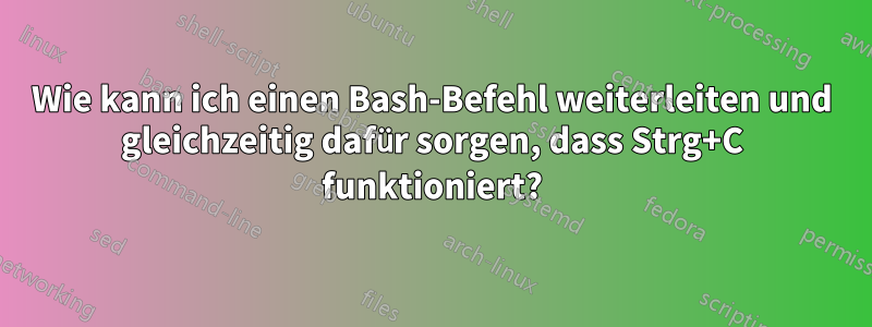 Wie kann ich einen Bash-Befehl weiterleiten und gleichzeitig dafür sorgen, dass Strg+C funktioniert?