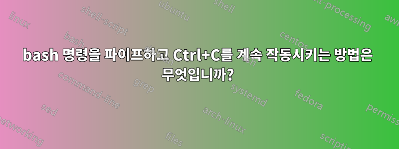 bash 명령을 파이프하고 Ctrl+C를 계속 작동시키는 방법은 무엇입니까?