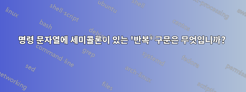 명령 문자열에 세미콜론이 있는 '반복' 구문은 무엇입니까?