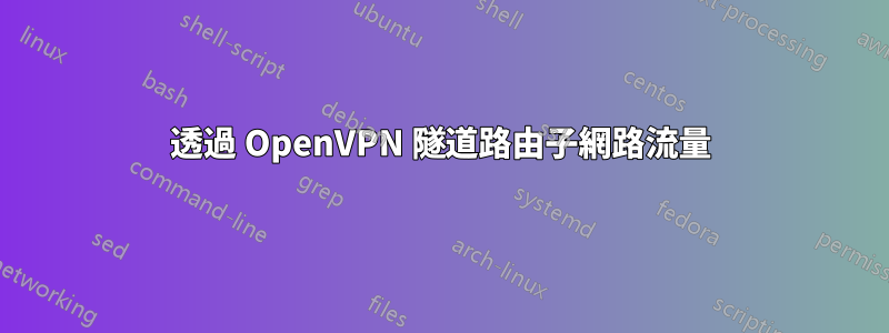 透過 OpenVPN 隧道路由子網路流量