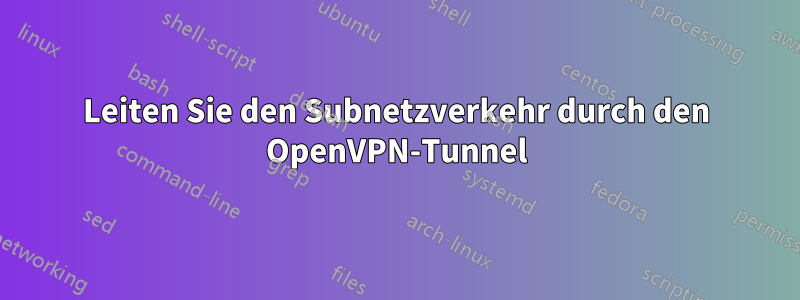 Leiten Sie den Subnetzverkehr durch den OpenVPN-Tunnel