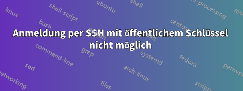 Anmeldung per SSH mit öffentlichem Schlüssel nicht möglich