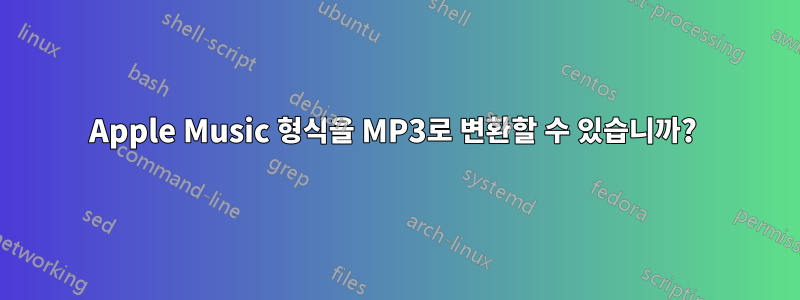 Apple Music 형식을 MP3로 변환할 수 있습니까? 