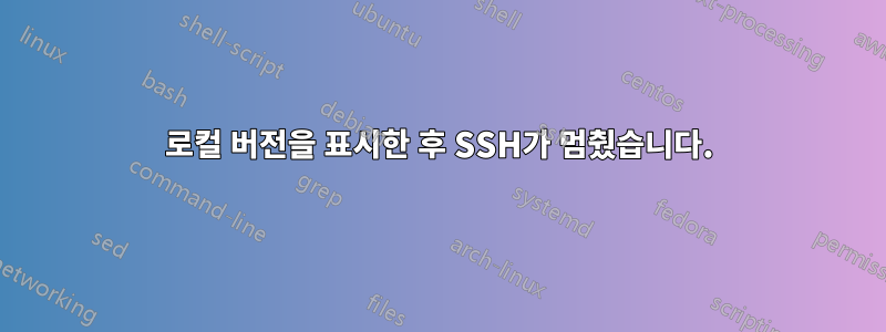 로컬 버전을 표시한 후 SSH가 멈췄습니다.