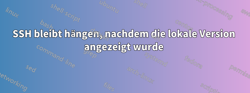 SSH bleibt hängen, nachdem die lokale Version angezeigt wurde