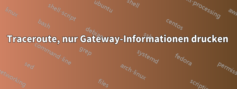 Traceroute, nur Gateway-Informationen drucken