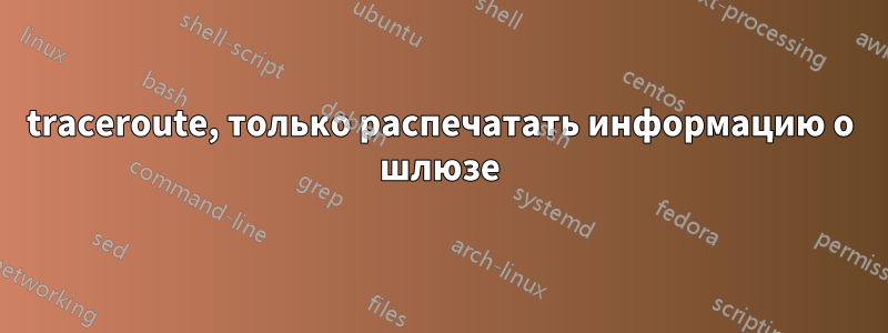 traceroute, только распечатать информацию о шлюзе