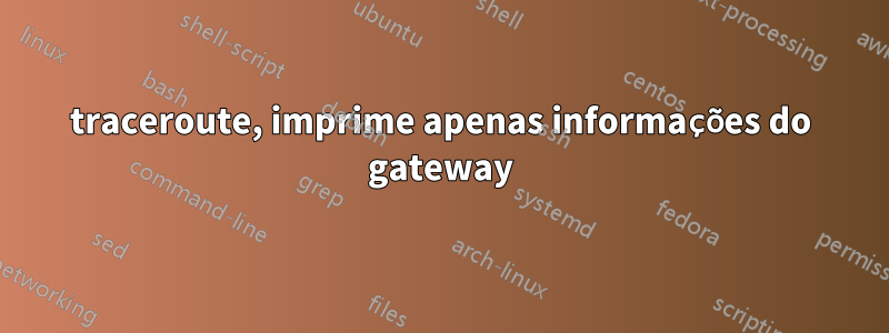 traceroute, imprime apenas informações do gateway