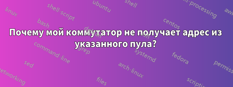 Почему мой коммутатор не получает адрес из указанного пула?