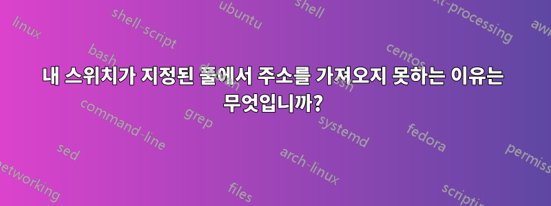 내 스위치가 지정된 풀에서 주소를 가져오지 못하는 이유는 무엇입니까?