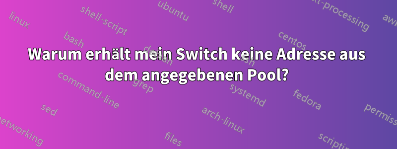 Warum erhält mein Switch keine Adresse aus dem angegebenen Pool?