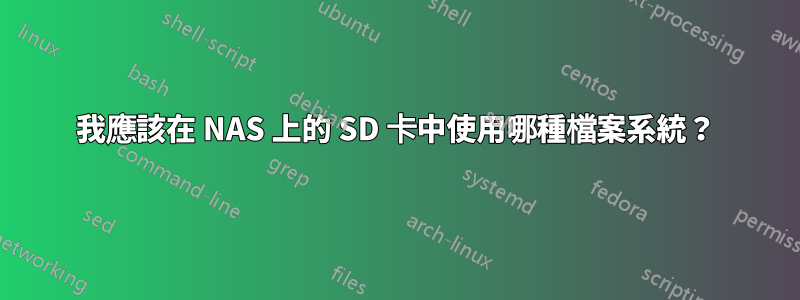 我應該在 NAS 上的 SD 卡中使用哪種檔案系統？