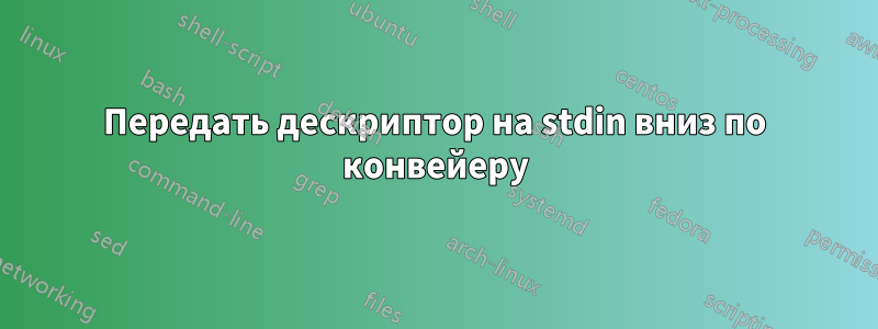 Передать дескриптор на stdin вниз по конвейеру