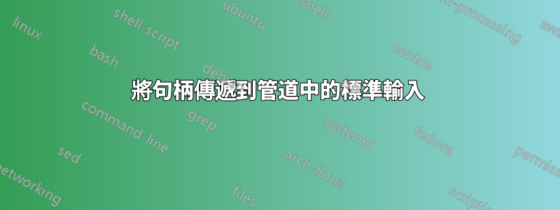 將句柄傳遞到管道中的標準輸入