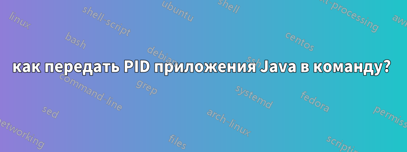 как передать PID приложения Java в команду?