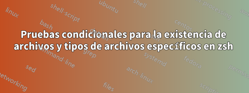 Pruebas condicionales para la existencia de archivos y tipos de archivos específicos en zsh