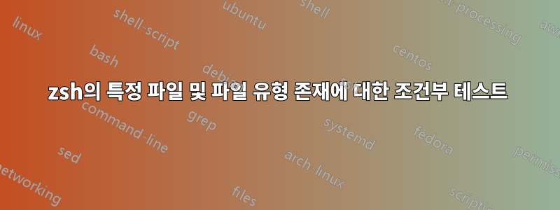 zsh의 특정 파일 및 파일 유형 존재에 대한 조건부 테스트